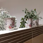 B&B Romerooms Cola Di Rienzo